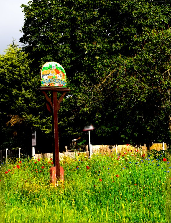 Flowers at the Village Sign by Margaret Stallard