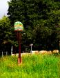 Image: Flowers at the Village Sign by Margaret Stallard