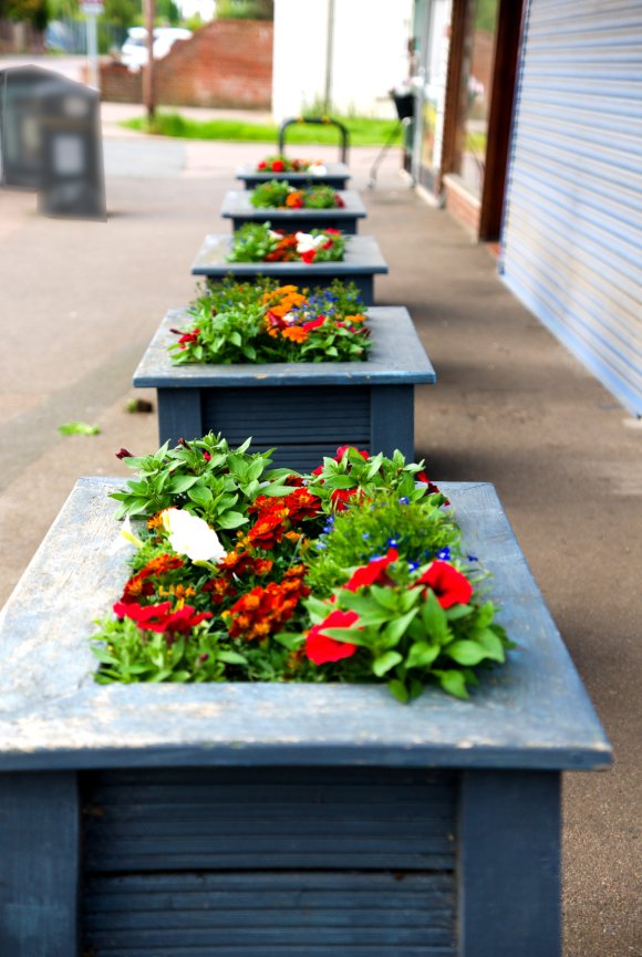 Villa Road Flowers by Margaret Stallard