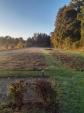 Image: Autumn Burial Ground by Barry Cooper