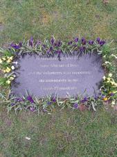 Spring Bulbs at the Covid Memorial